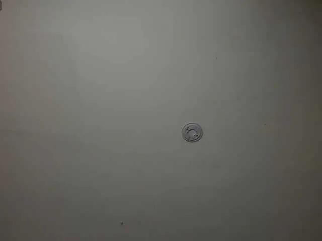 Offline FernandaX1 on BongaCams