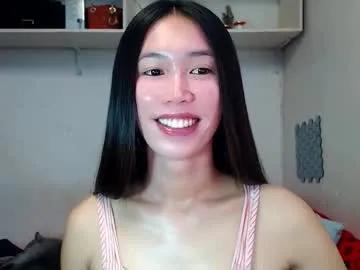 Freechat asianqt19 on Chaturbate