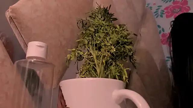 AnddieBaker on StripChat 