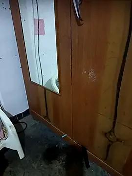 BabyHansi on StripChat 