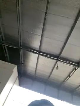 Freechat Panda_101 on StripChat