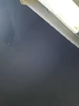 Freechat Panda_101 on StripChat