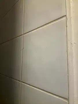 Freechat raen001 on StripChat