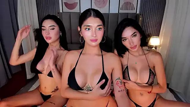 Freechat ScarletGreysonn on StripChat